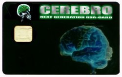 cerebrolaki.jpg