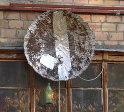 dish1.jpg