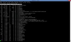 Top_WiCardd-19.jpg