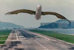 image006.jpg