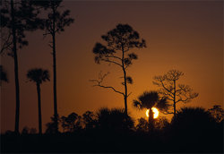 big-cypress-orange-sunset-90701-ga.jpg