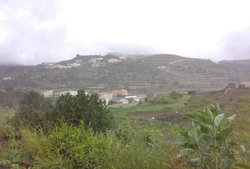 87806945jc1.jpg