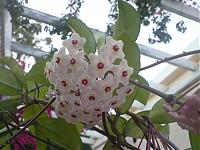 DSC00201.jpg