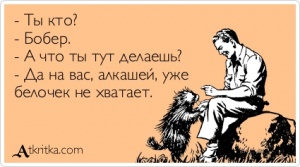 atkritka_1361028407_999_m.jpg