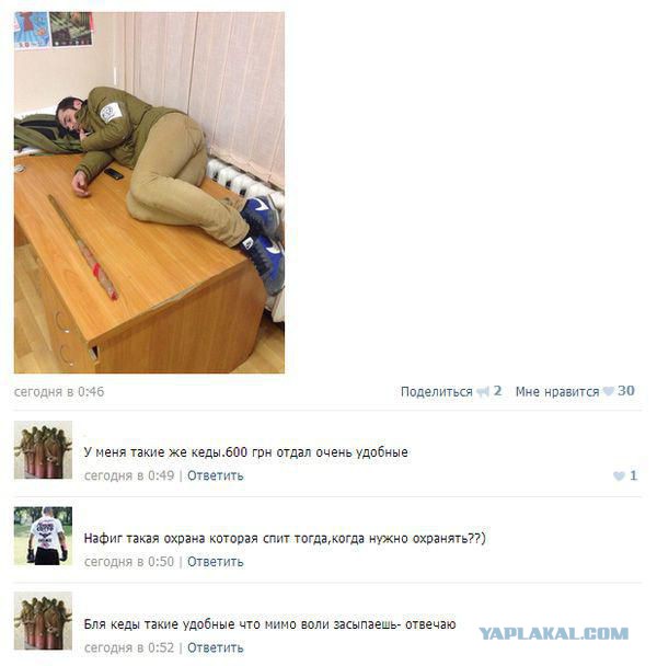 2906470.jpg