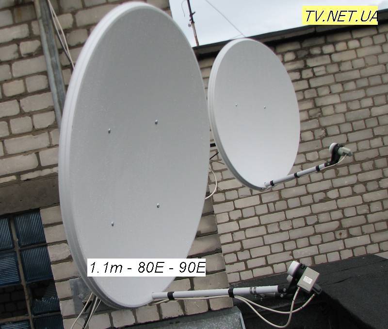 dish08.jpg