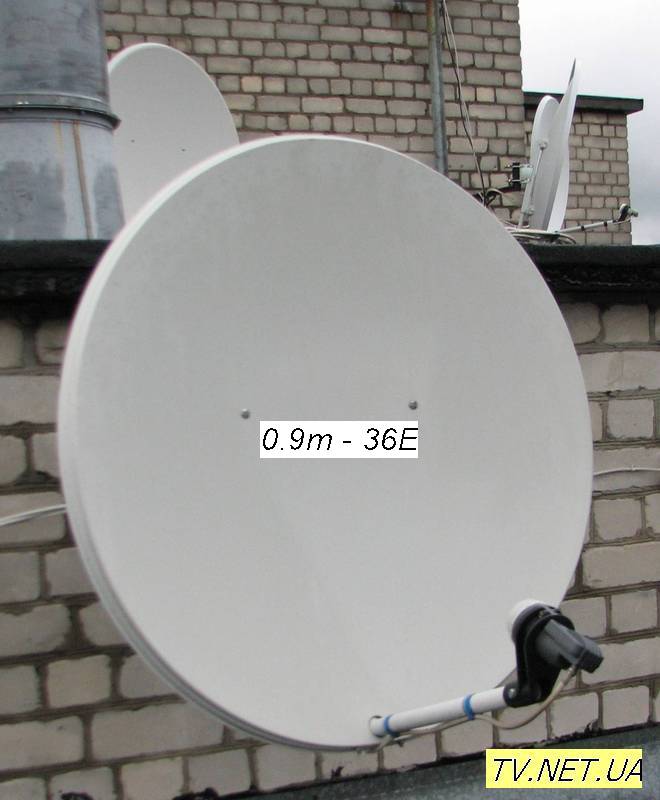 dish02.jpg
