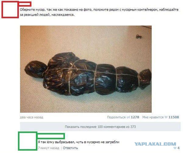 2906156.jpg