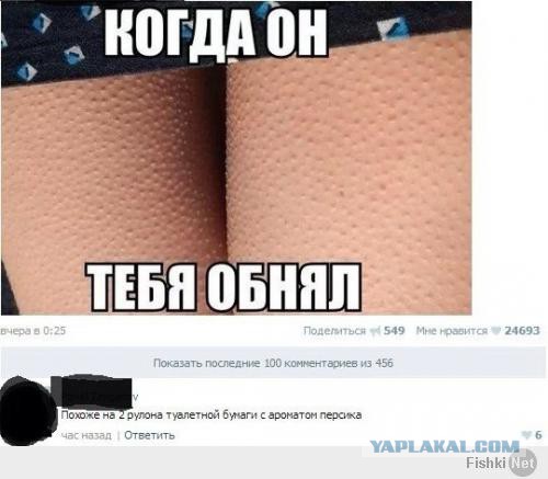 2906532.jpg