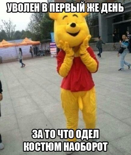 n0idDIsvGpA.jpg