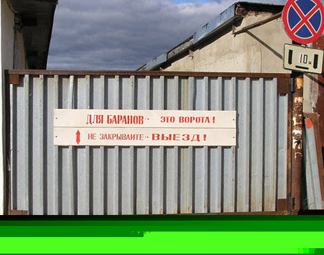 db7d20722e17.jpg
