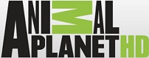 Animal-planet.jpg