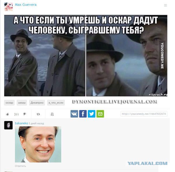 2906219.jpg