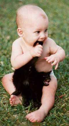 baby_cat.jpg