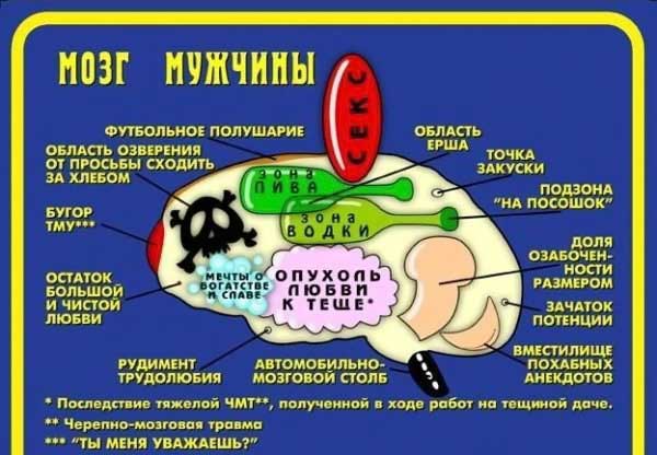 db05dc49247405566c4b9c47591ca4c4_full.jpg
