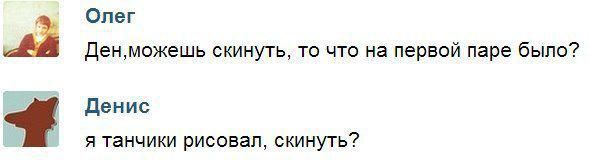 2906496.jpg