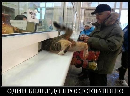 3jgyhmV6enU.jpg