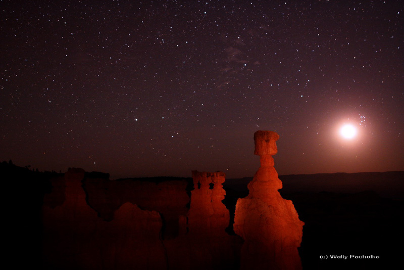 hoodooBC_pacholka800.jpg