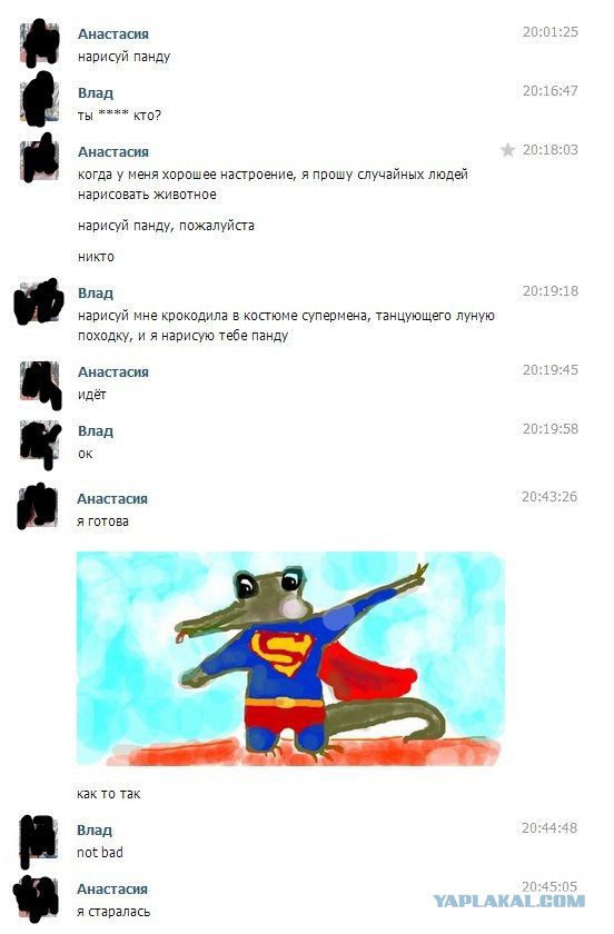 2906236.jpg