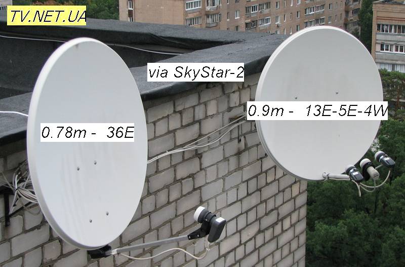 dish10.jpg