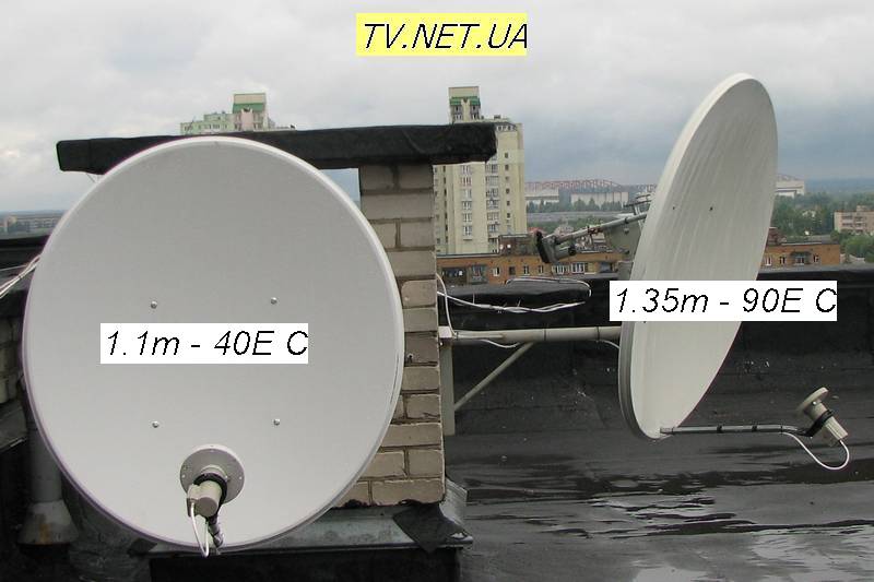 dish09.jpg